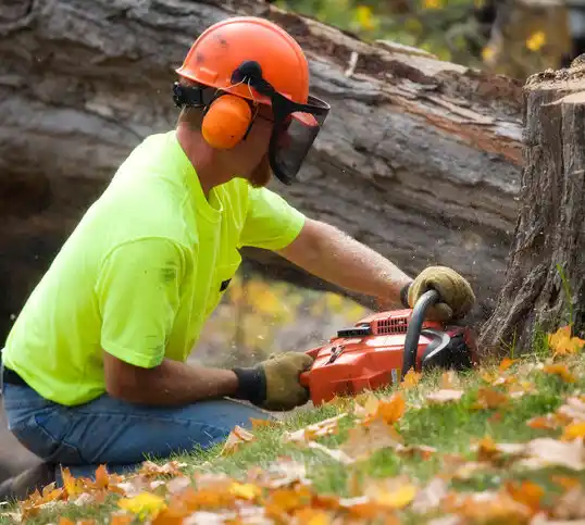 tree services National Harbor